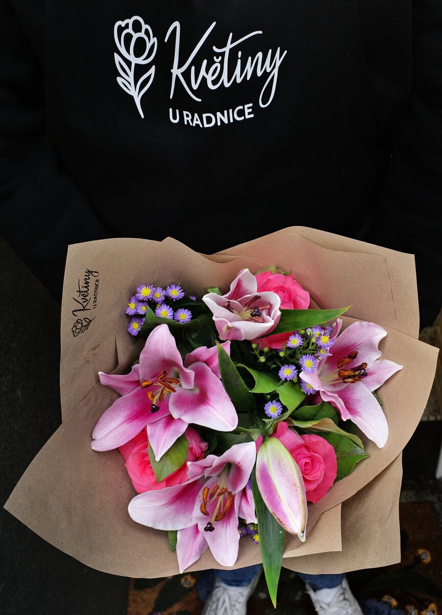 Pokojova rostlina - 490 Kč